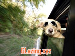 How much do double glazing windows cost