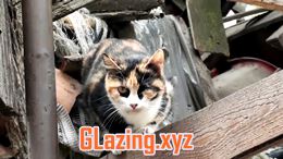 Can you double glazing old windows