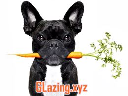 Aluminium Double Glazing Windows