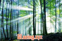 Glaziers bristol