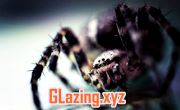 what double glazed windows do
