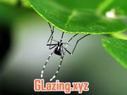 Double Glazing Company Wisbech