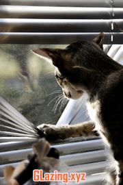 triple glazed windows singapore