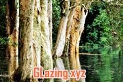 wooden windows and doors online