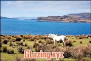 swartland wooden windows and doors