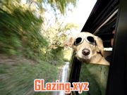 Quality Double Glazed Windows Prices
